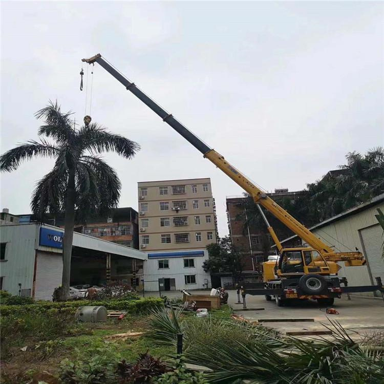 厦门吊车出租的费用解析：你不可不知的行业秘密